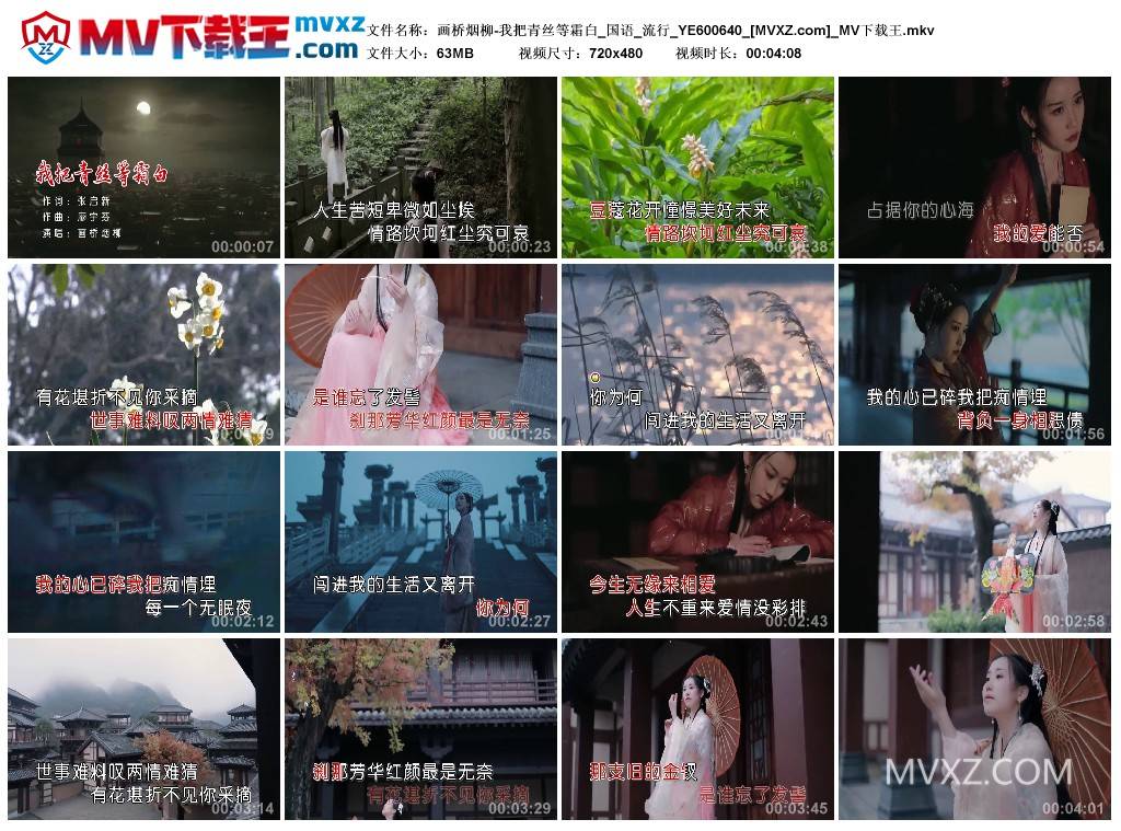 画桥烟柳-我把青丝等霜白_国语_流行_YE600640